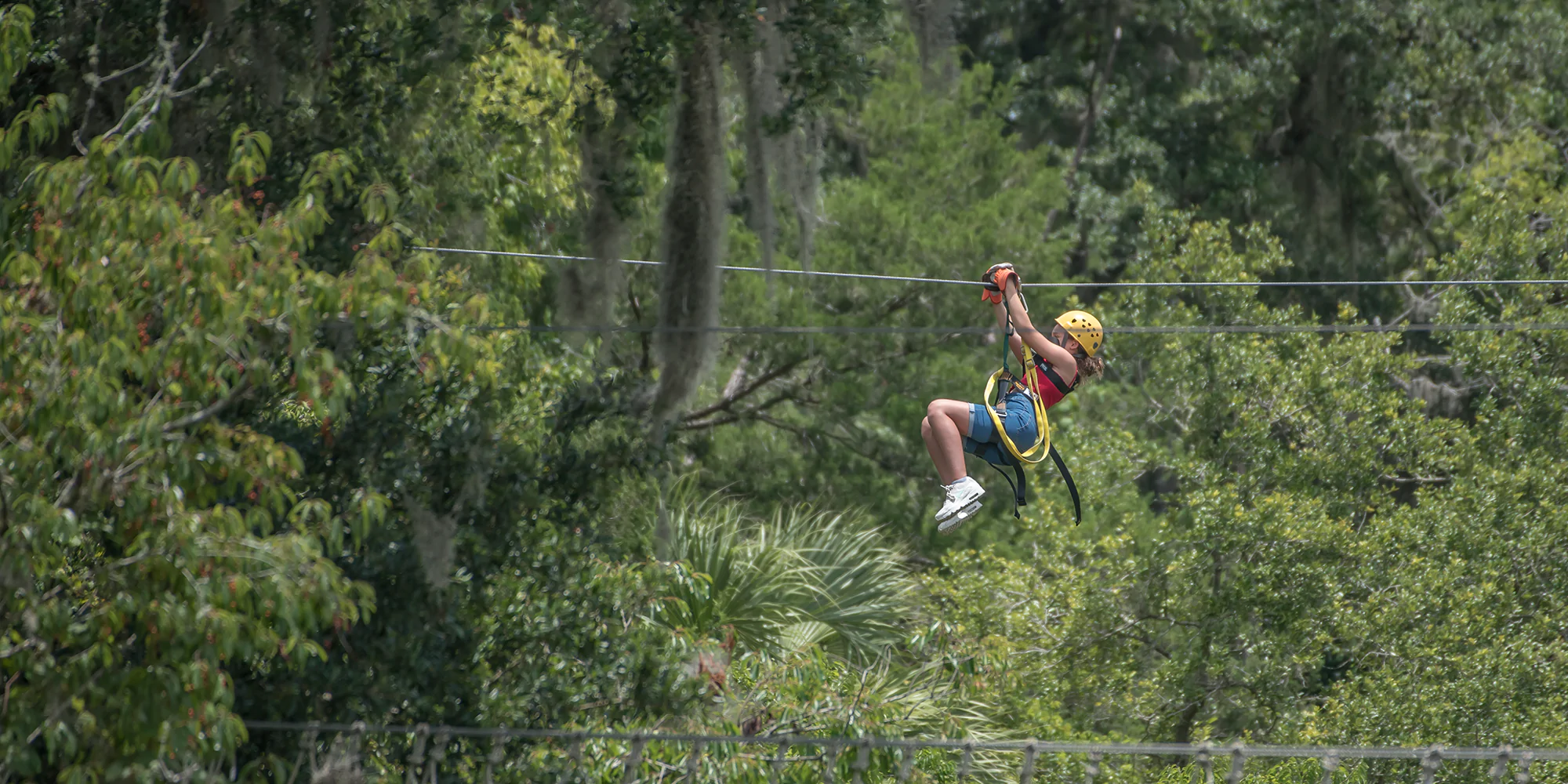 Zipline